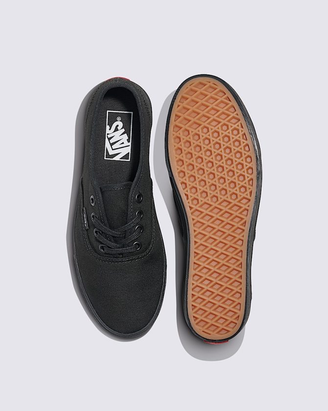 Authentic Lowpro Shoe VN000D04BKA - Image 3