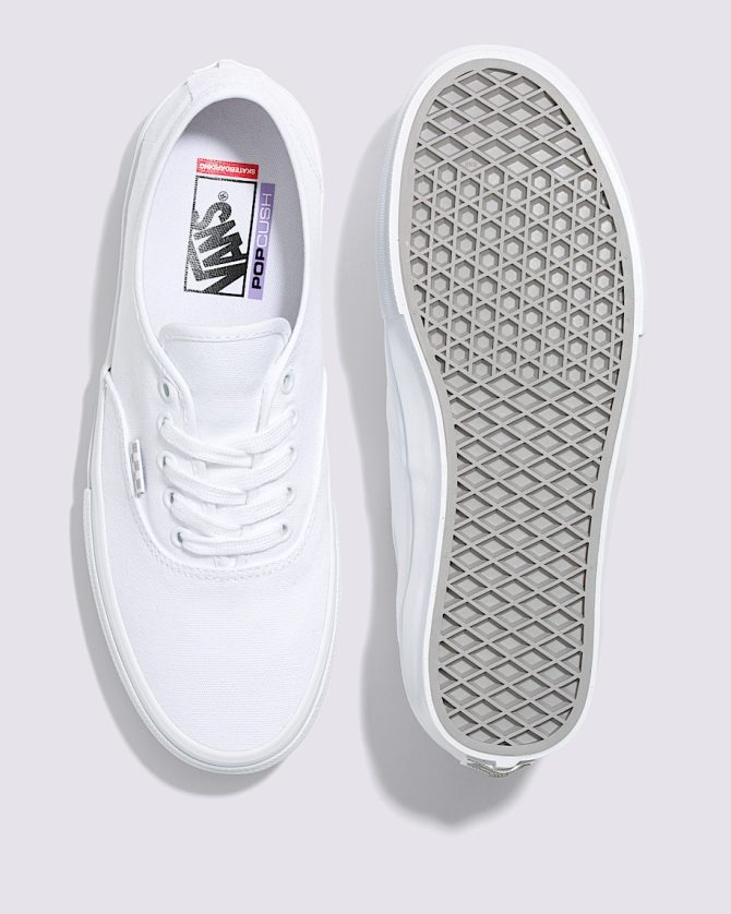 Skate Authentic Shoe VN0A5FC8W00 - Image 3