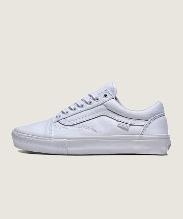 Skate Old Skool Shoe VN000EDNW00