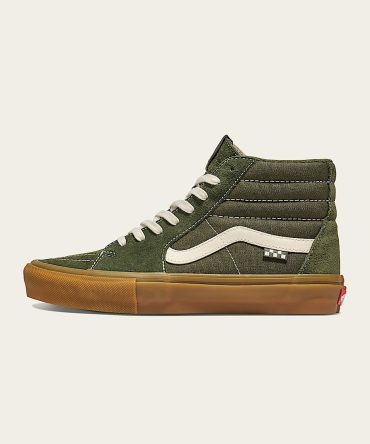 Skate Sk8-Hi Shoe VN0A2Z333PY